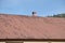 The roof of this square ceramic tile is red. The old type of roof covering in rich houses of the 19th century