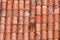 Roof tiles of a italian house in Bologna