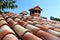 Roof tiles in various decorative shade of red with two small chimneys surrounded with tree branches and clear blue sky background