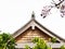 Roof of traditional Japanese house with wisteria flowers blooming
