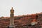 Roof under constructions with lots of tile and red brick chimney