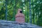 The roof of a wooden dugout with a brick chimney