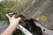 Roofer cleaning with hand  roof gutter from fallen leaves and dirt in fall