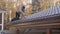 Roofer uses a screwdriver to tighten the roofing screw into the metal roof.