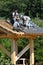 Roofers in Korean Bell Meadowlark Gardens