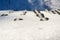 roofing tile covered with snow