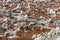 The roofs of buildings in the Portuguese resort of Nazare