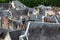 Roofs of Chinon town