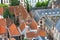 Roofs of Flemish Houses in Brugge