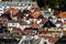 Roofs of houses of different colors and shapes in Bergen, Norway