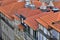 Roofs of houses with red tiles. View from hill