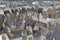 Roofs of medieval Dinant, France