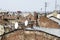 Roofs of the old Lvov city