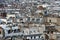 The Roofs of Paris