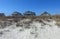 Roofs Peak Out from Behind Sand Dunes