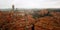 Roofs of Siena from bell tower Torre del Mangia.