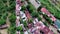 Roofs of slum and squatter houses built along railway road. Drone aerial