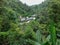 The roofs of a tiny village in an evergreen forest in northern Thailand