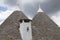 The roofs of trulli at Alberobello, Apulia, Italy