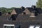 Roofscape tiled roofs Barendrecht Netherlands