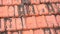 Rooftop Baked Clay Tiles Old And Weathered Stock Footage