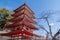 The rooftop of Chureito pagoda