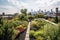 a rooftop garden with a view of the city skyline, surrounded by chimneys and other rooftop elements