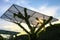 Rooftop gardens of University of Warsaw Library