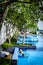 Rooftop infinity swimming pool with sunbathing lounge chairs and trees