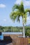 Rooftop relaxation with palm tree pool