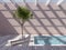 Rooftop swimming pool with tree