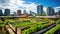 rooftop urban farm