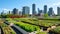 rooftop urban farm