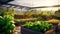 Rooftop vegetable and herb garden, with rows of thriving plants and a sustainable gardening setup.