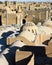 Rooftop and windtowers, Yazd