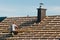 Rooftop worker installing new metal tiles on a house