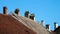 Rooftops and chimneys - Blue sky