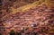 Rooftops of Cusco