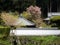 Rooftops and wall of Byodoji, temple number 22 of Shikoku pilgrimage