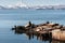 Rookery Northern Sea Lion or Steller Sea Lion on Pacific Coast