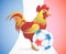 Rooster as symbol of France with soccer ball