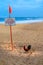 Rooster on Beach with Safety Warning Sign