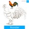 Rooster bird learn to draw vector