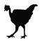 A rooster body black color silhouette vector