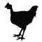 A rooster body black color silhouette vector