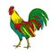 Rooster bright color vector illustration