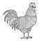 Rooster, Chicken, domestic farmer Bird. Hand drawn for anti stress Coloring Page with details, isolated on white