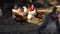 Rooster and chickens feeding in farmyard