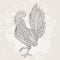 Rooster domestic farmer bird for Coloring pages, zentangle illustration or tattoos with high details.