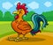 Rooster farm animal cartoon illustration